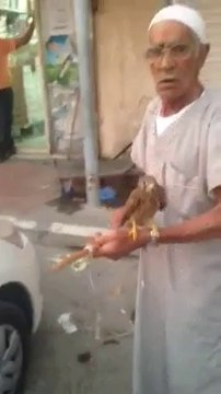 VID-20140815-WA0002.mp4