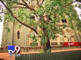 Bombay High Court orders CCTVs at Police Stations to prevent custodial deaths - Tv9 Gujarati