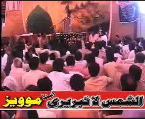 Allama Ali Nasir Talhara ,Shia bhi Zidd na kareen