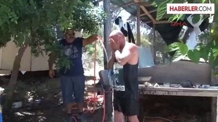 Deniz, Kum, Orman ve Atv Bir Arada