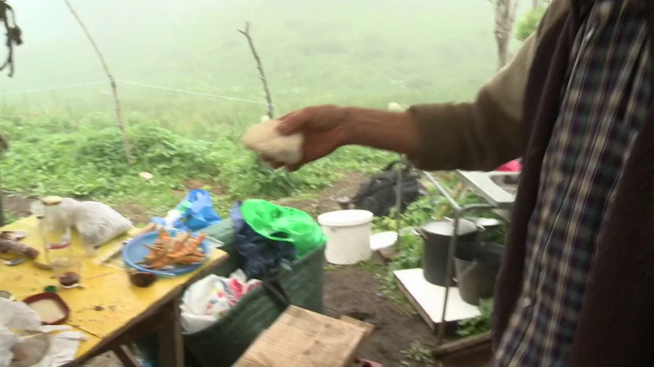 Mit dem Esel durch die Pyrenäen - Ökotourismus in Frankreich