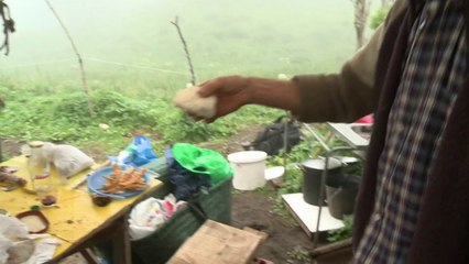 Mit dem Esel durch die Pyrenäen - Ökotourismus in Frankreich