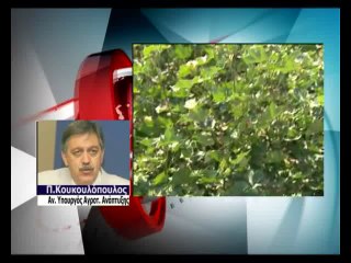 Η νέα ΚΑΠ στις περιφέρειες