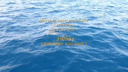 Hélios un Océanis rencontre les Dauphins