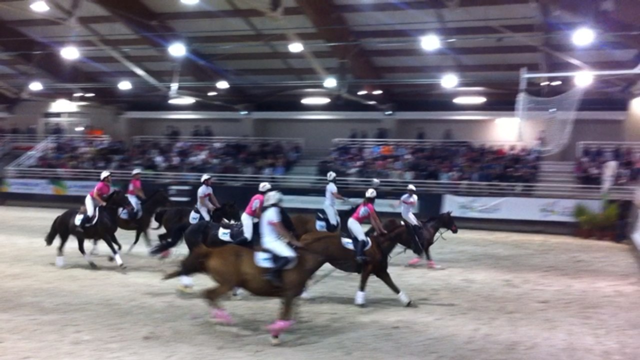 Spectacle Normandie horse show