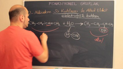 13 Alkoller 13-ozelogrenci.com