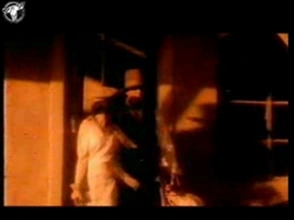 Sqeezer - Without You (1998)
