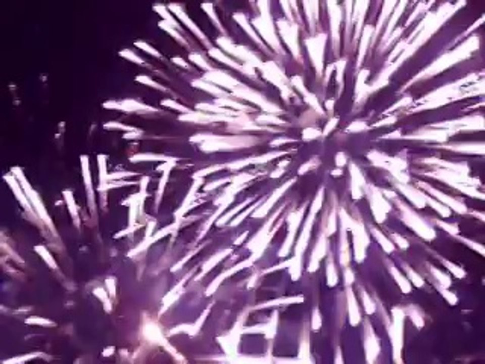 embrasement du fort saint louis suite