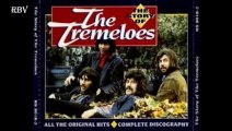 The Tremeloes -  Here Comes My Baby 1967 HQ