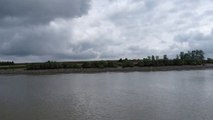 Le paysage de l'estuaire de la Loire : vasières, roselières et prairies salées