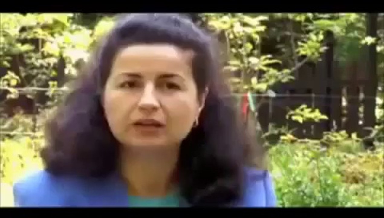 Health Benefits of Moringa