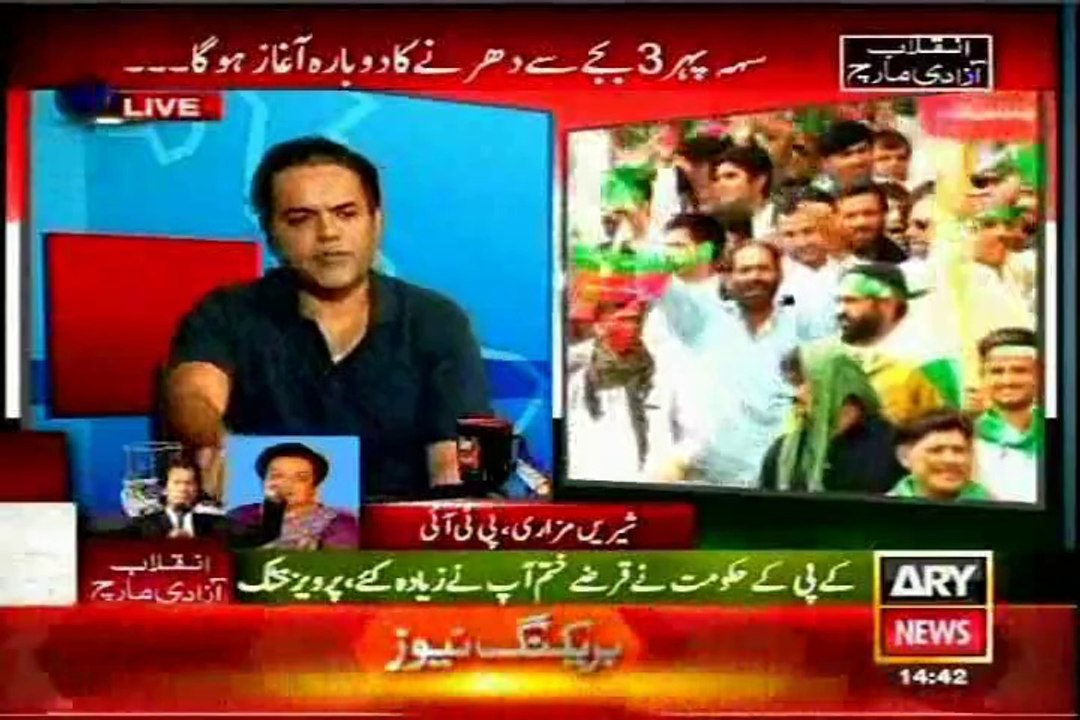 Pti shireen mazari media talk to azadi march