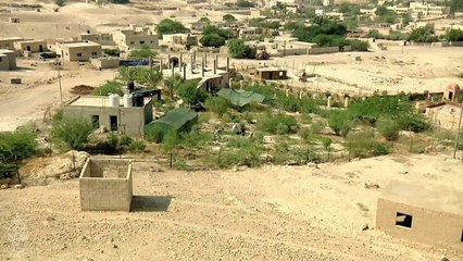 Yeniden Yeryüzü: Çölü Yeşillendirmek