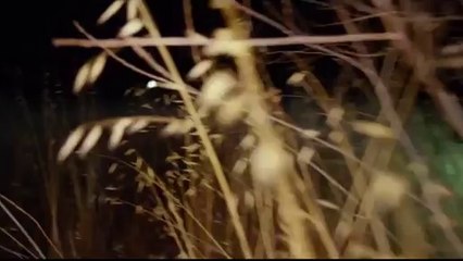 Echo Bande Annonce VF