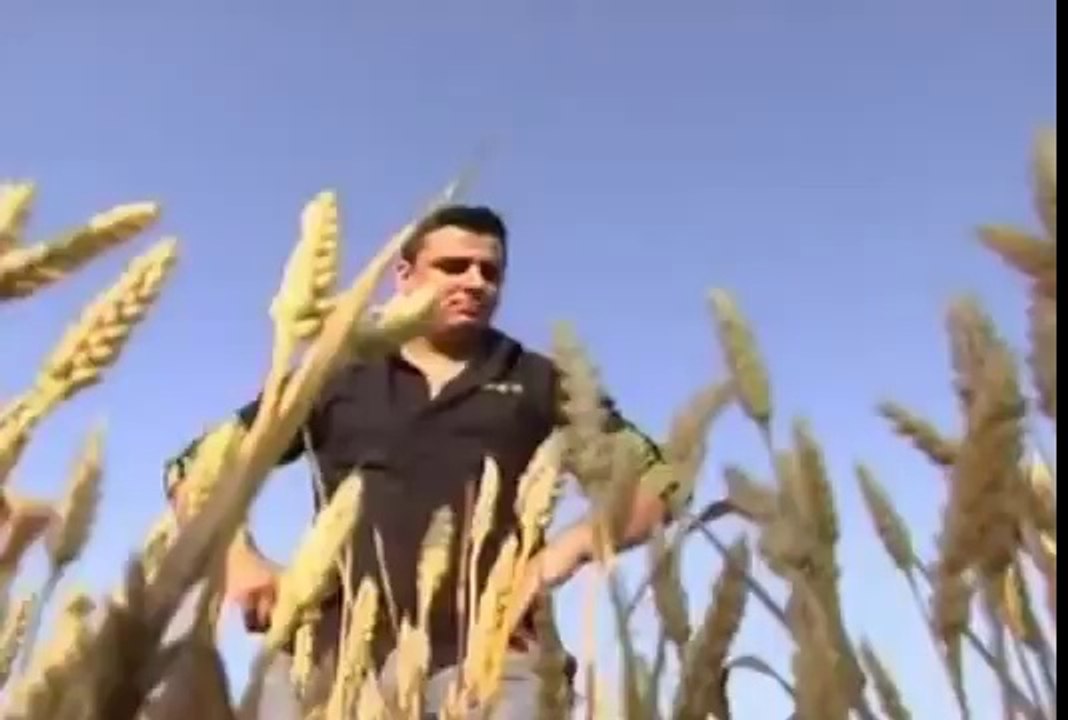 Liviu Guta - De trei zile stau si beau ( 40)721.20.60.60