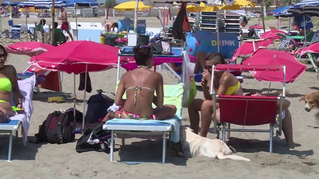 AFP - Le JT, 1ère édition du samedi 16 août. Durée: 01:45