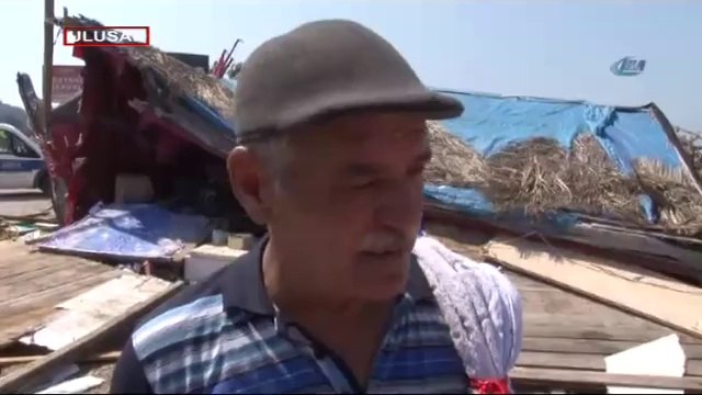 Bursalı şeftali üreticisi isyan etdi