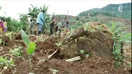 Arnaques écologiques by multinationale$