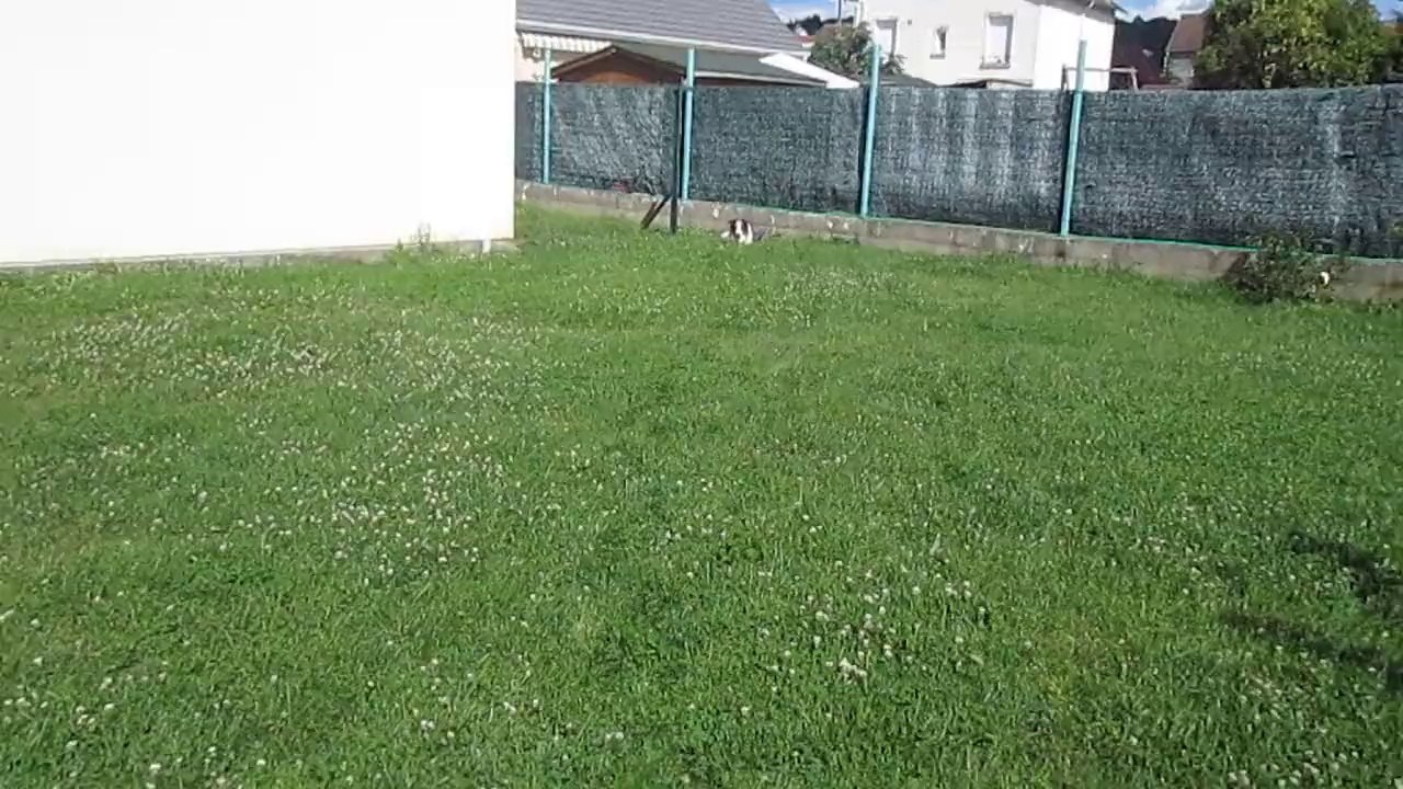 Couché, reste