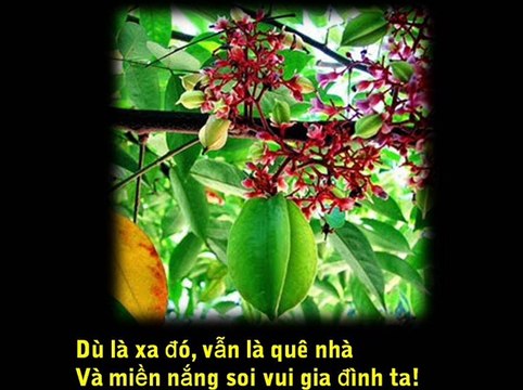 Bộ ảnh 105 tấm và 1954 /1975 với tiếng hát Phạm Đức Nghĩa, show Caroline Thanh Hương