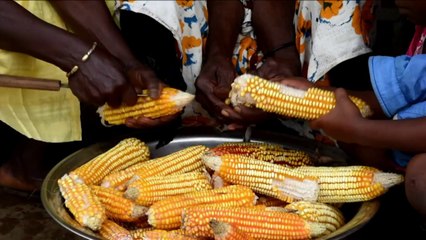 Ebola: la Côte d'Ivoire teste ses services médicaux