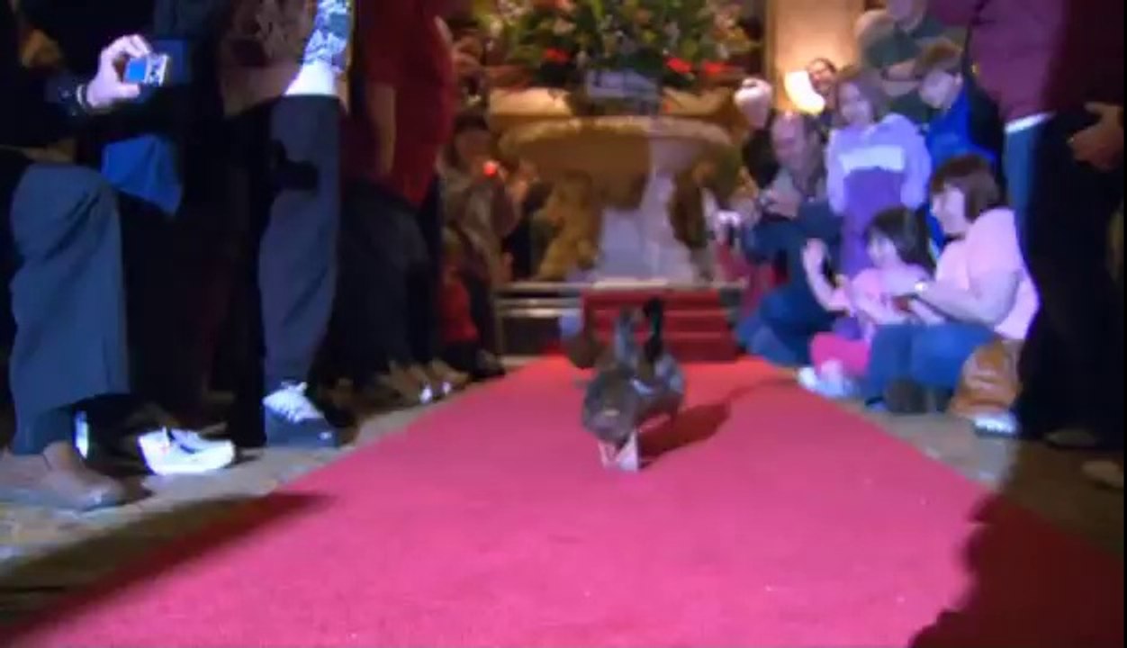 Stephen Fry In America - Bonus Footage