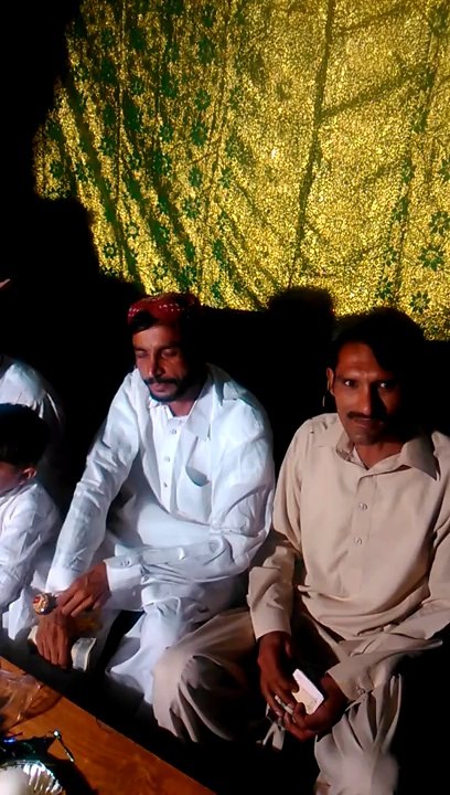 shaady