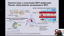 В.Г.Канестри ,ст.н.с Федерального центра СПИД.Возможность излечения ВИЧ-инфекции- современное понимание проблемы.2014