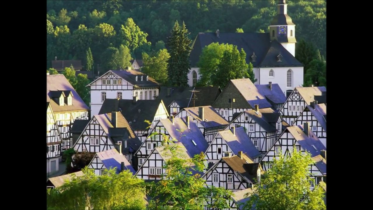 Web Reporter Herbert Trindade Bianchi - Deutschland