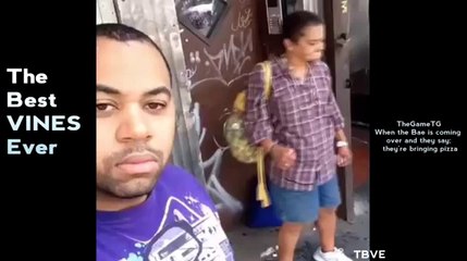 Vine Compilation August 2014 Best Vines Funny Vines Funniest Vine Compilation