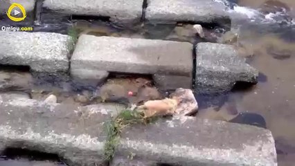 Caught This Guy Playing By Himself