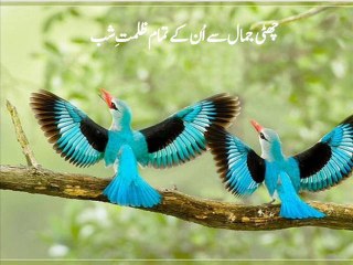 Na'at: Balaghal ula bekamalehi