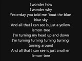 Fool's Garden-Lemon Tree lyrics