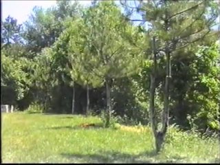 FATMA GÜLER SABAH İLE SABAH İLE