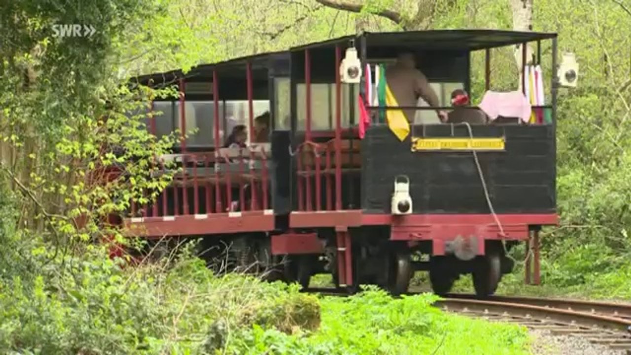 Eisenbahn Romantik - Irlands Steam History -Golden Vale International Railtour