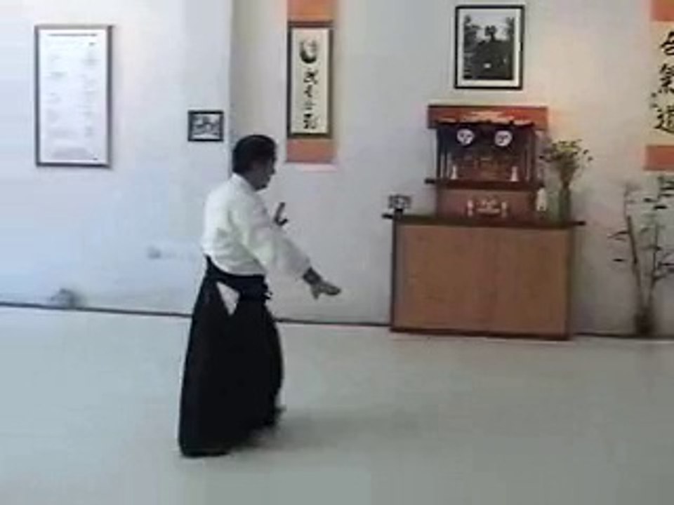 Aikido Tai-chi Kata 2