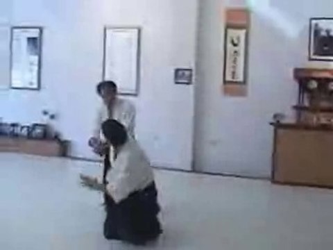 Aikido Tai Chi Kata Martial Application