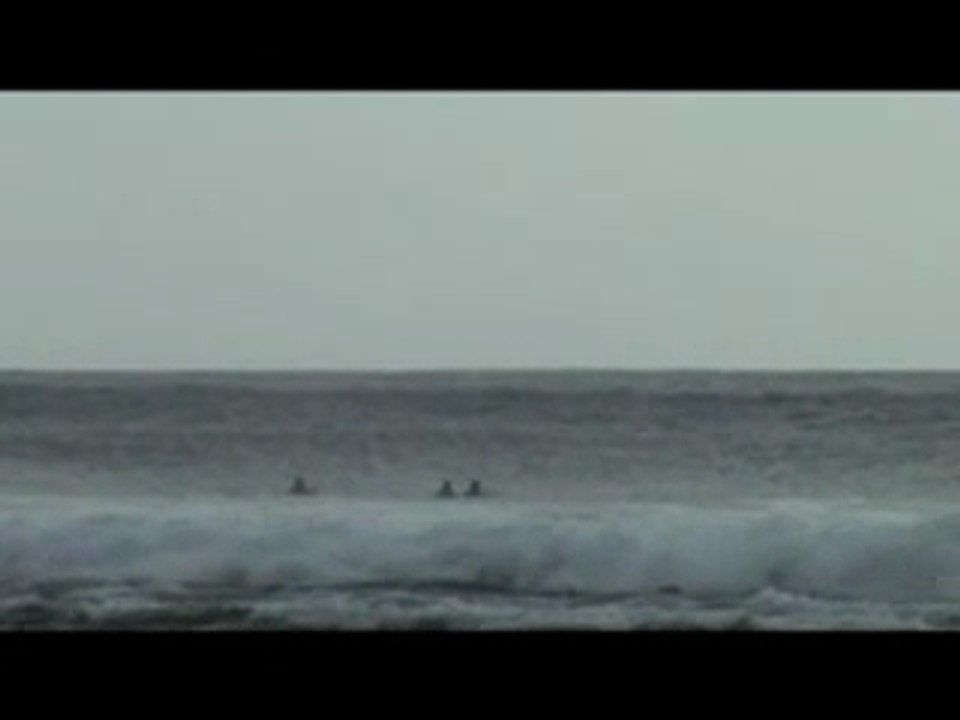 Surf-run