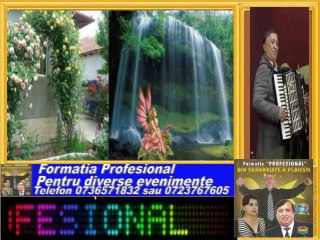 Nelu si Lenuta Miron --Nu mai vreau sa stau in casa