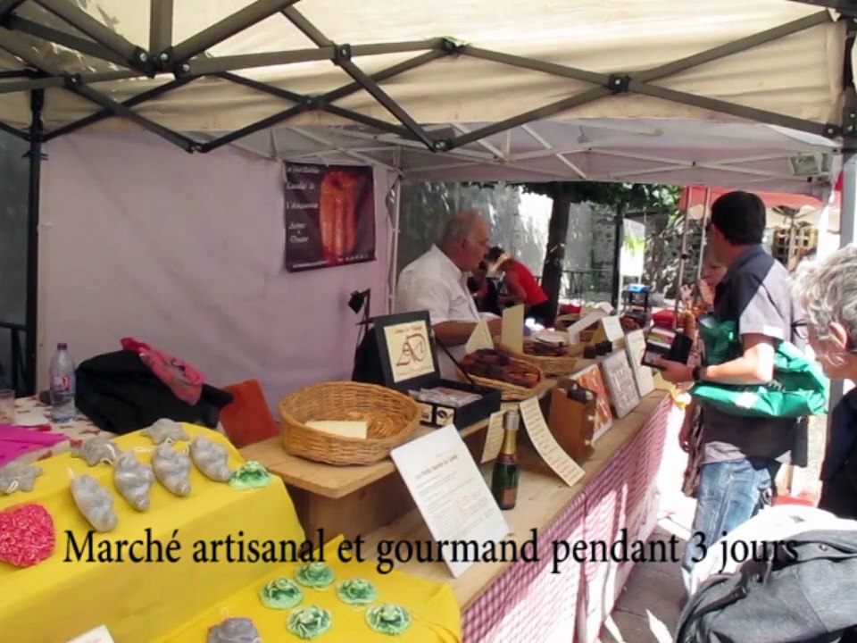 VIDEO. Ambiance à la foire aux vins d'Amboise