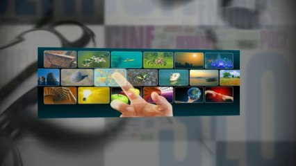 Affordable SEO rates offered by top3.com.sg in Singapore