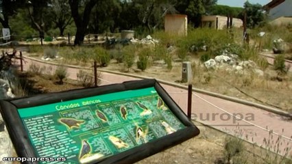 Miles de aves huérfanas necesitan ayuda