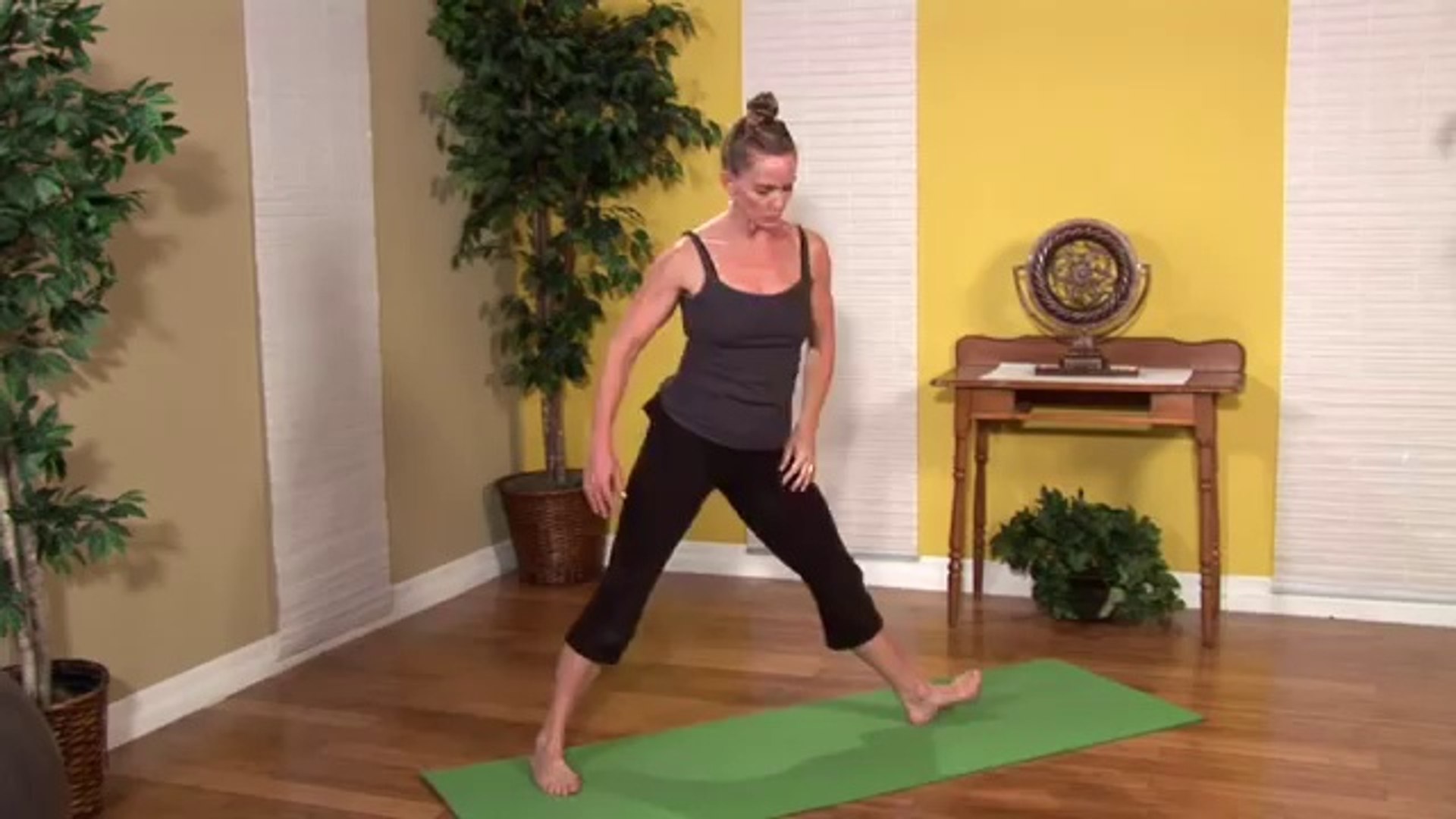 Yoga Techniques _ Basic Yoga Stretches