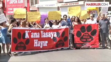 Yavru Kedilerin Öldürüldüğü Yerde Eylem