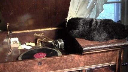 Plantation Joys; Luis Russell's Heebie Jeebie Stompers