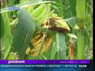 Dnevnik, 16. avgust 2014.