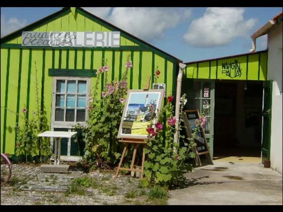 2014 (juillet) Charente maritime / Ile d'Oléron / Saint-Trojan les Bains