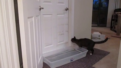 Mulder opening doors