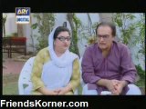 Bulbulay 308