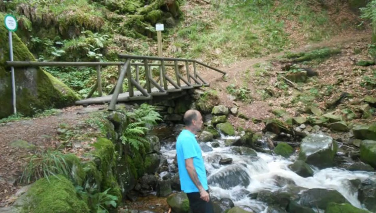 la chute